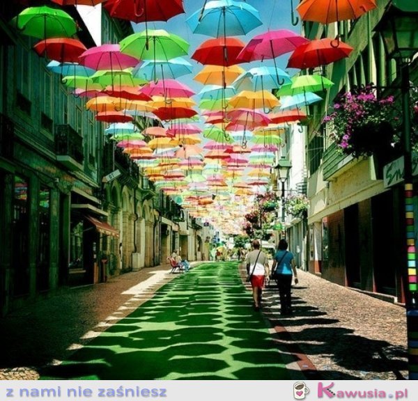 Zawieszone parasolki - Portugalia