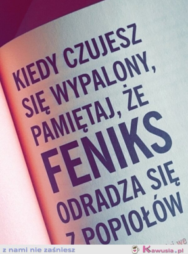 Motto na dziś