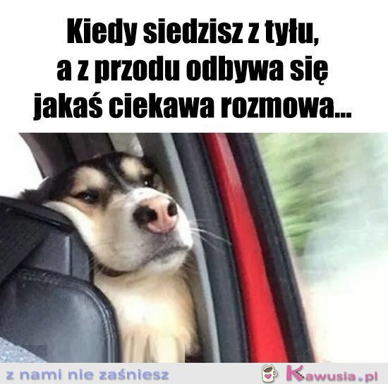 Chciałabym coś dodać...