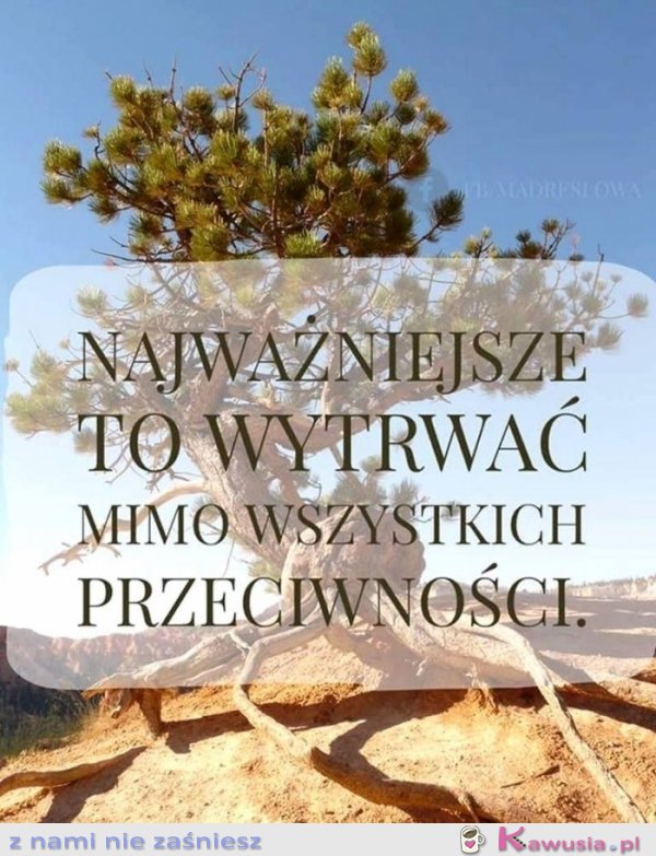 Najważniejsze to wytrwać