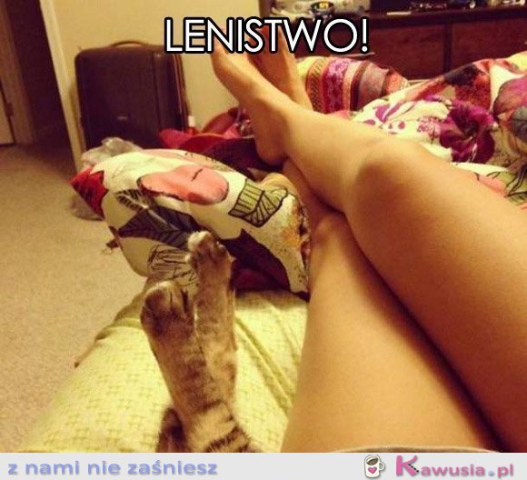 Lenistwo