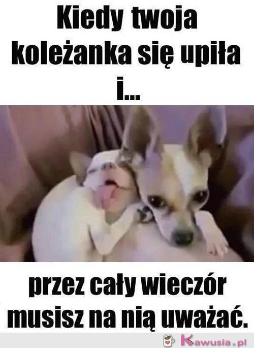 No i zaczęło się...