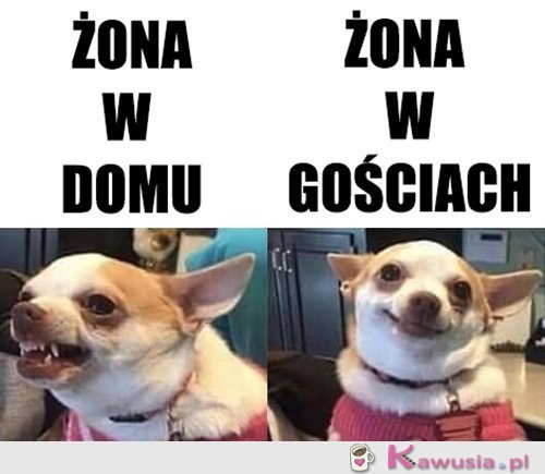 Kobieta zmienną jest