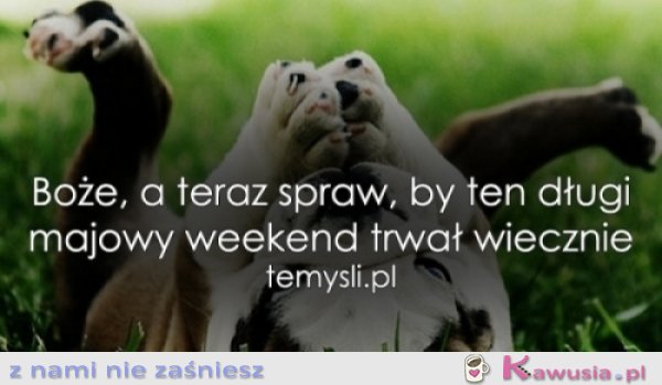 By ten długi majowy weekend trwał wiecznie