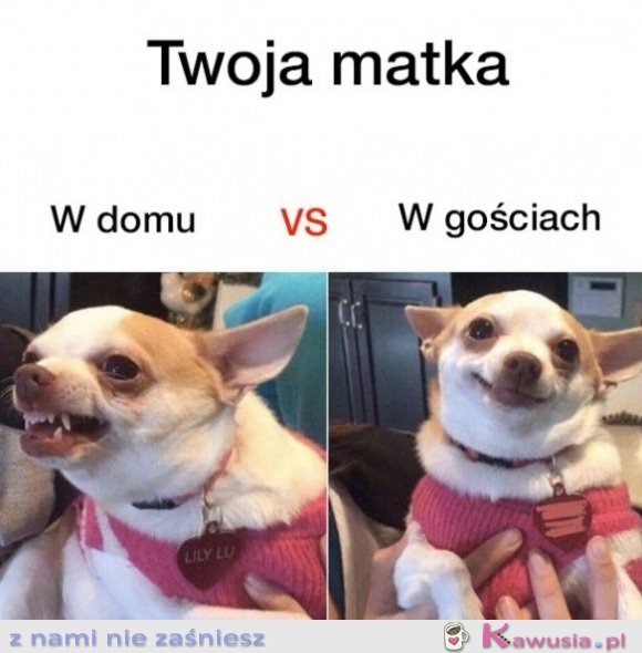 Twoja matka