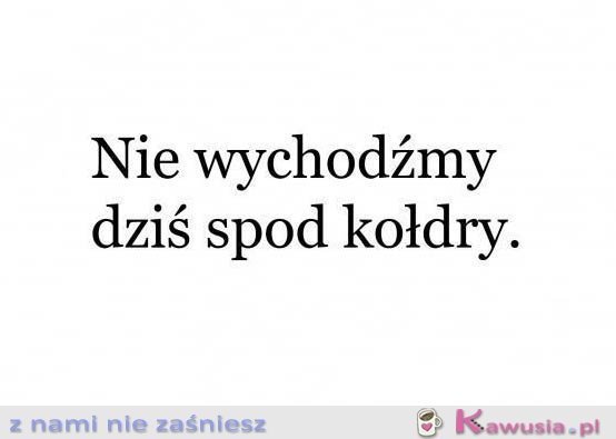 Plan na dziś