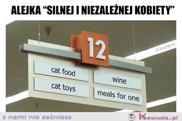 WSZYSTKO CO JEST MI POTRZEBNE W JEDNEJ ALEJCE