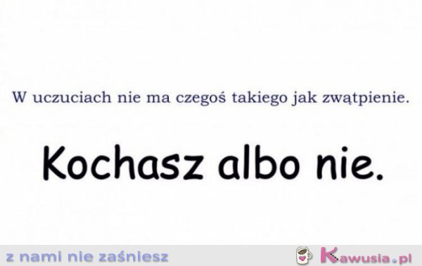 Kochasz albo nie