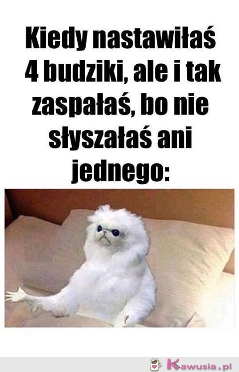 Kiedy nastawiłaś 4 budziki