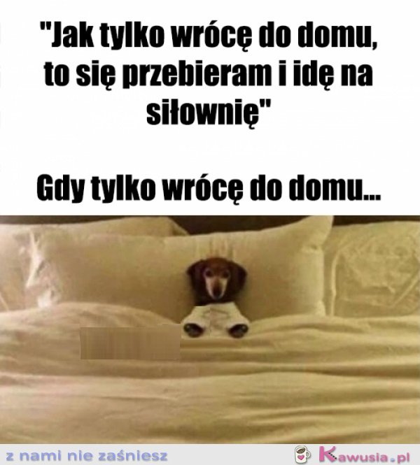 Chęci były i to się liczy...