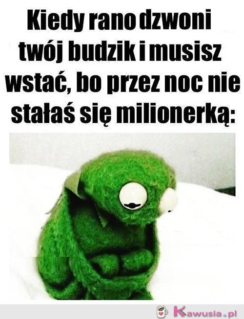 Może jutro...