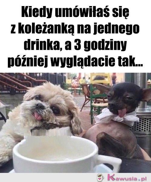 Tak jakoś wyszło...