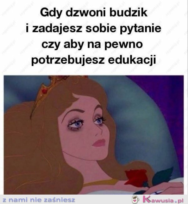 Codziennie rano mam taką myśl