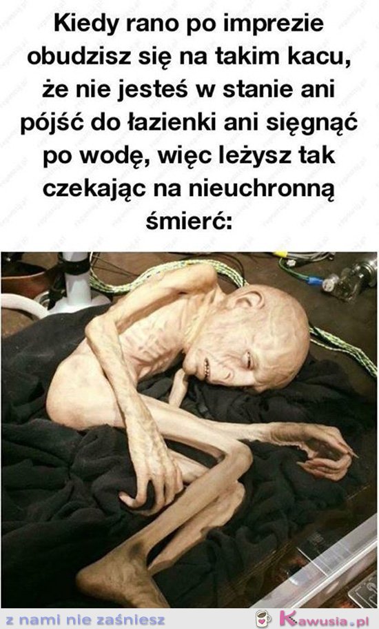 Zawsze po imprezie