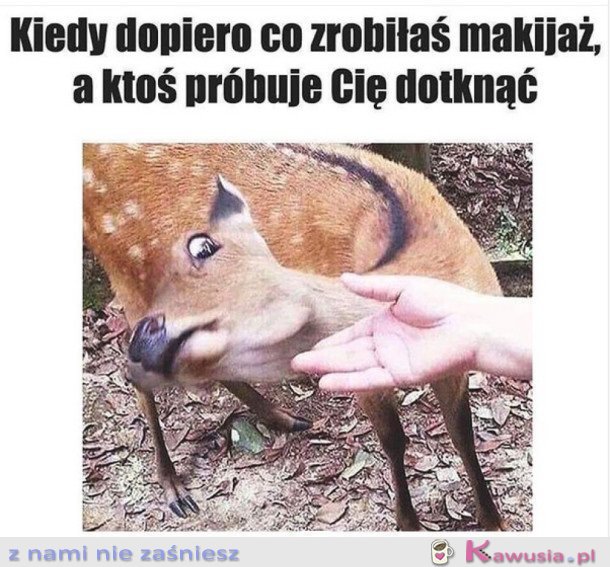 Dopiero się umalowałam