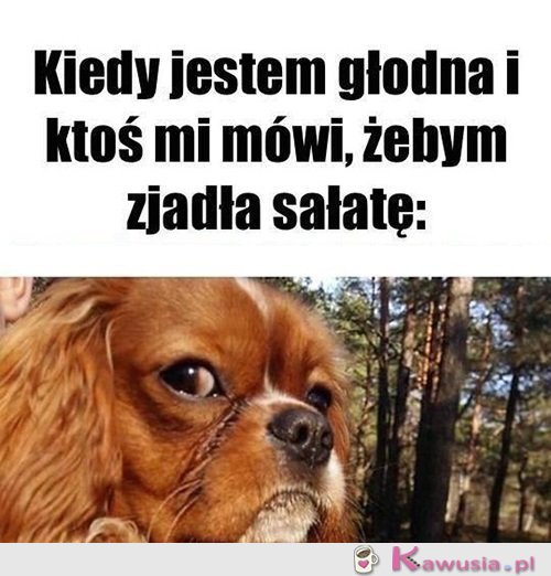 Żartujesz?