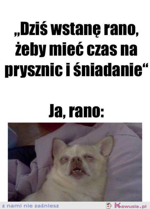 ZAWSZE TAK SAMO