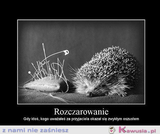 Rozczarowanie