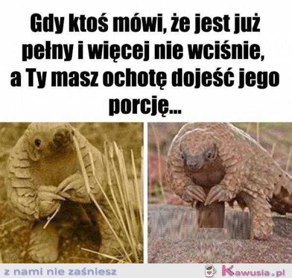 Co ma się zmarnować...