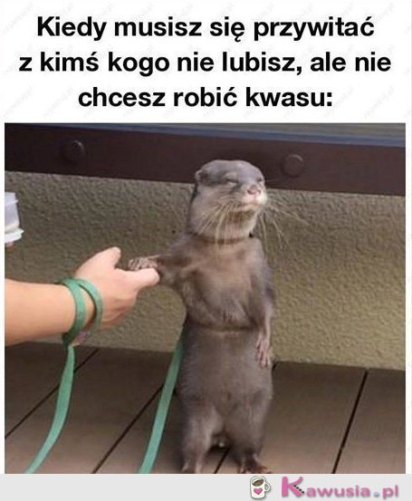 Nie będę robić kwasu