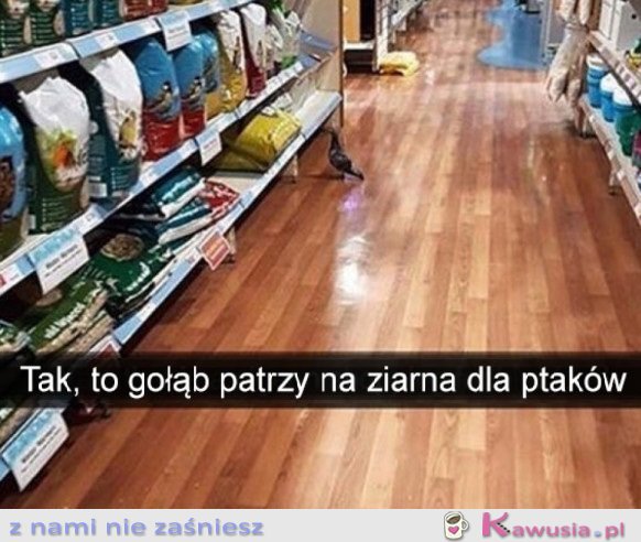 CO TU WYBRAĆ?