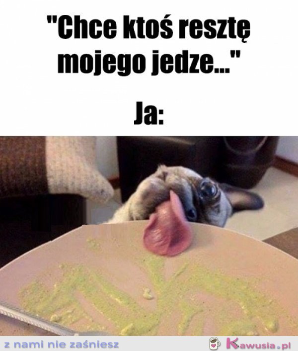 Służę pomocą...