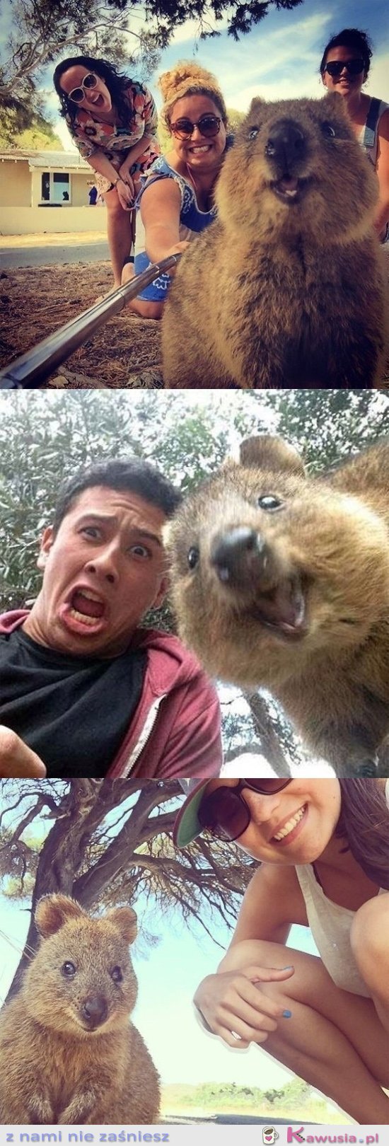 Moda na selfie w Australii