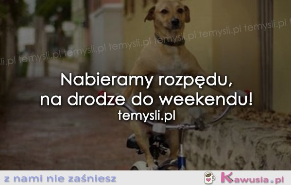 Weekend tuż tuż