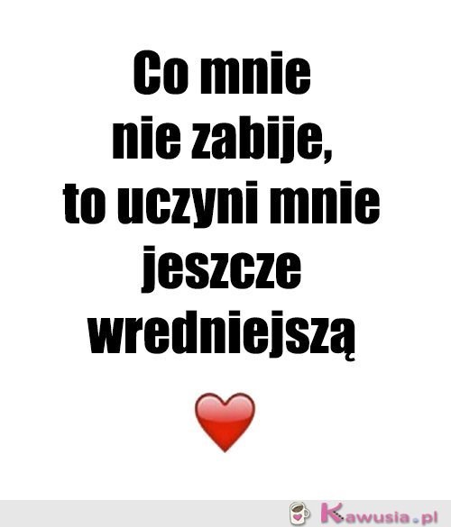 Moje motto...