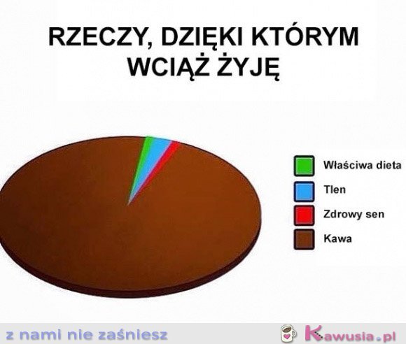 Rzeczy, dzięki którym wciąż żyję