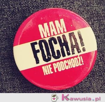 Mam focha!!!