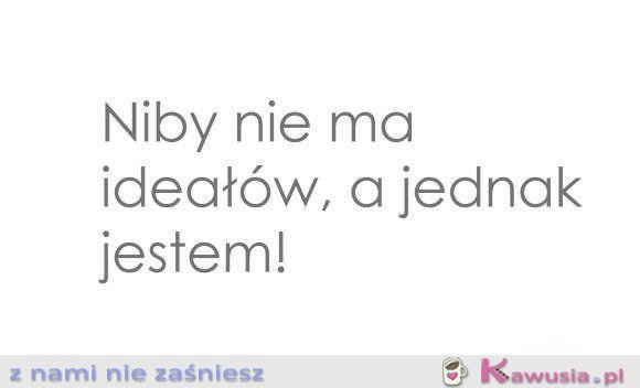 Niby nie ma ideałów..
