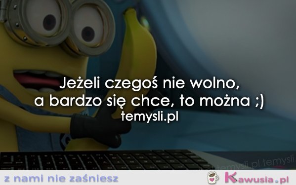 Motto na dziś 