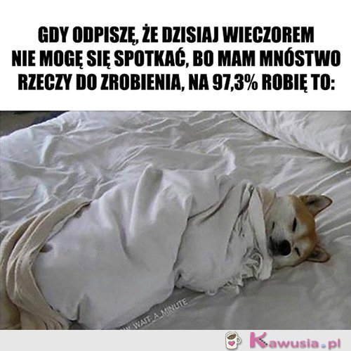 Nie wiem w co ręce włożyć...