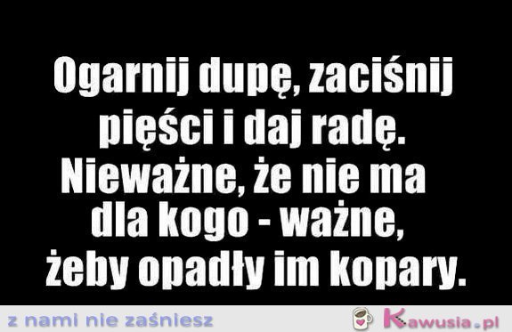 Dasz radę