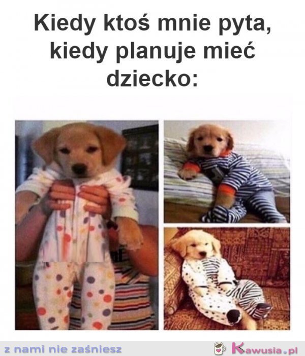 Czy ty planujesz mieć dziecko