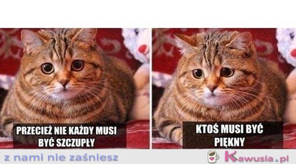 Przecież nie każdy musi być szczupły