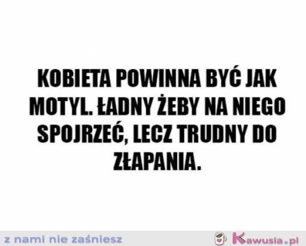 Kobieta powinna być jak motyl