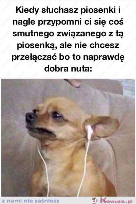 Kiedy słuchasz piosenki i nagle
