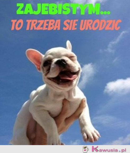 Takim trzeba się urodzić