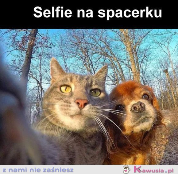SŁODKIE SELFIE