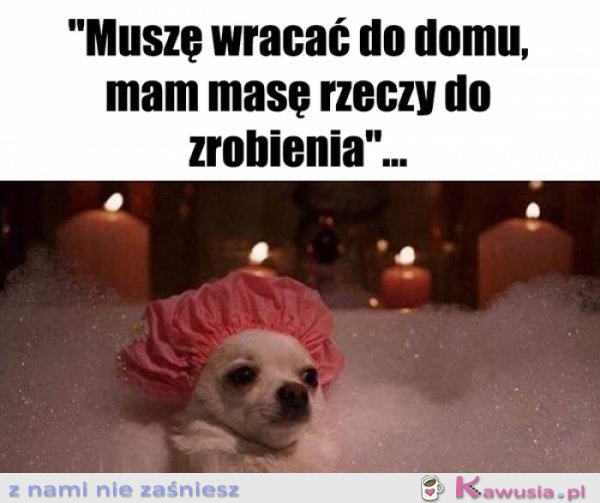 A to bardzo ważne rzeczy są...