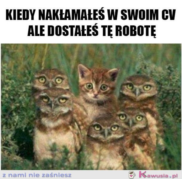 MOŻE NIE ZAUWAŻĄ