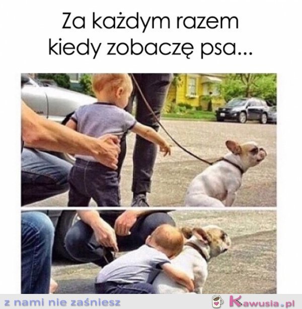 Za każdym razem kiedy zobaczę psa