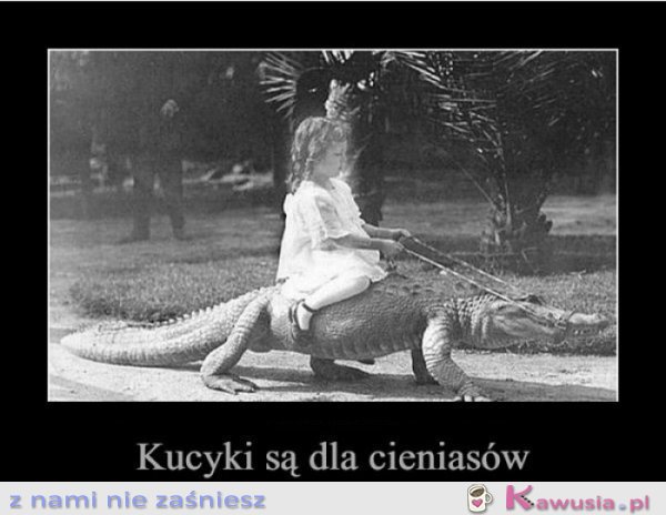 Kucyki są dla cieniasów