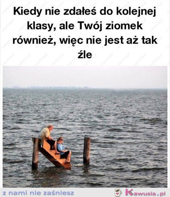 Przynajmniej mam towarzystwo