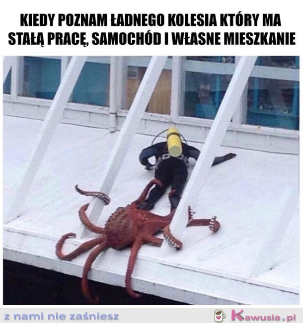 JESTEŚ MÓJ!