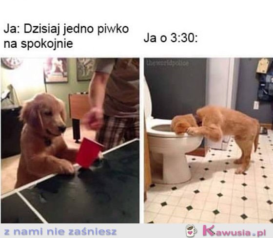 Jedno piwko na spokojnie