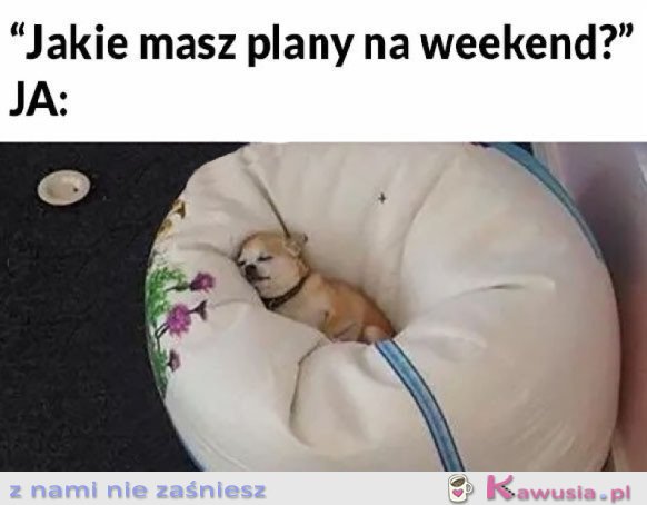 MOJE PLANY NA WEEKEND