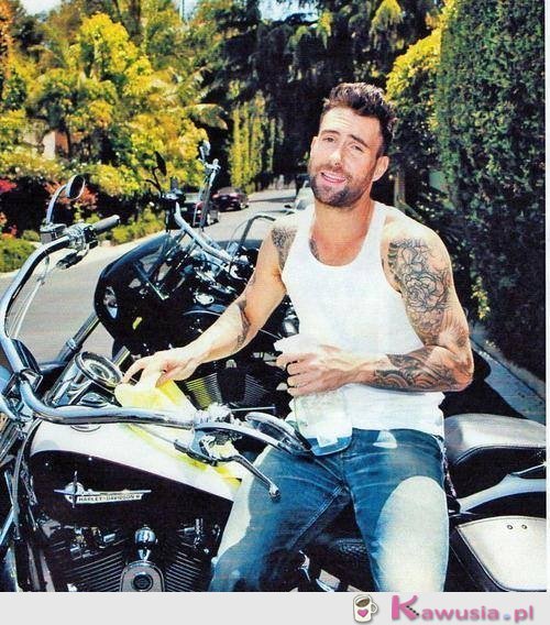 Adam Levine